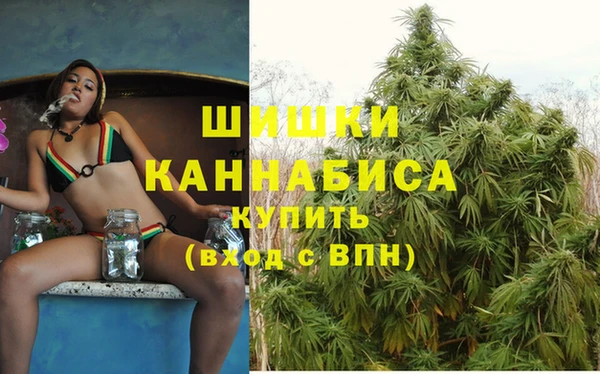 ГАЛЛЮЦИНОГЕННЫЕ ГРИБЫ Бронницы