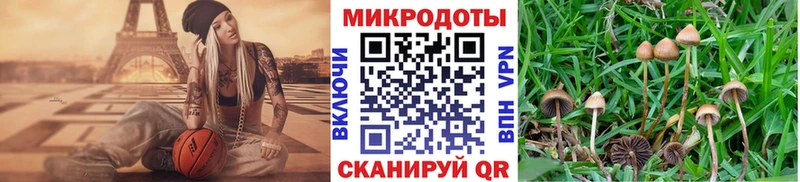 Купить закладки  Гороховец  Галлюциногенные грибы MAGIC MUSHROOMS 